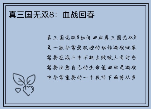 真三国无双8：血战回春