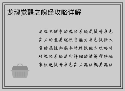 龙魂觉醒之魄经攻略详解